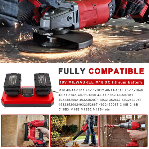 Fancy Buying dual battery charger battery contacts and secure fit