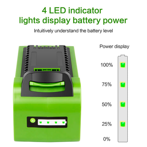 LB40A010 reliable power for heavy-duty GreenWorks tasks.
