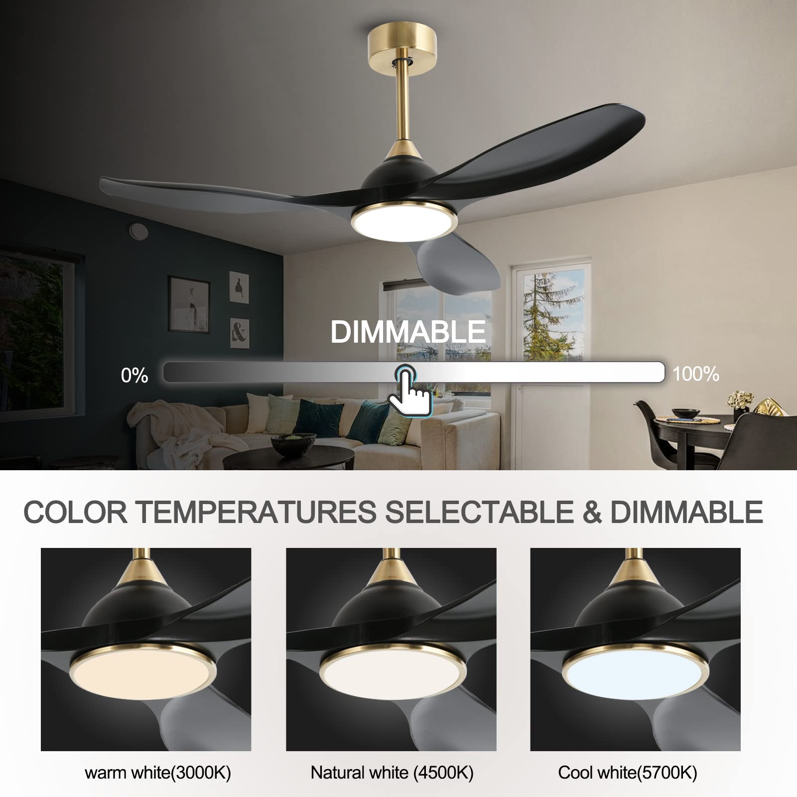 Fanliving black gold finish ceiling fan showcased in a modern living room.