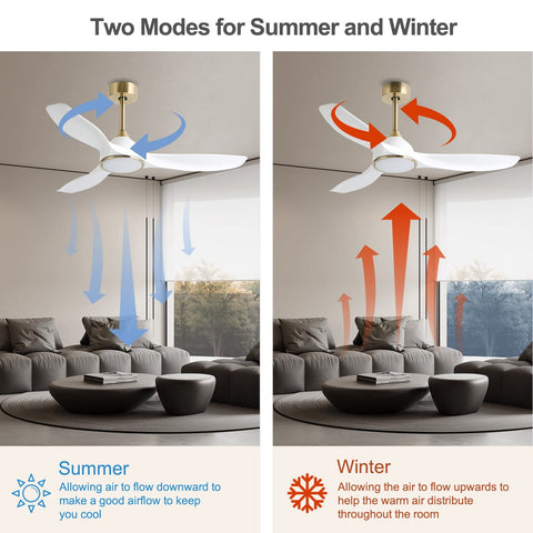 Fanliving LED light with 3 color temperatures for ambiance control
