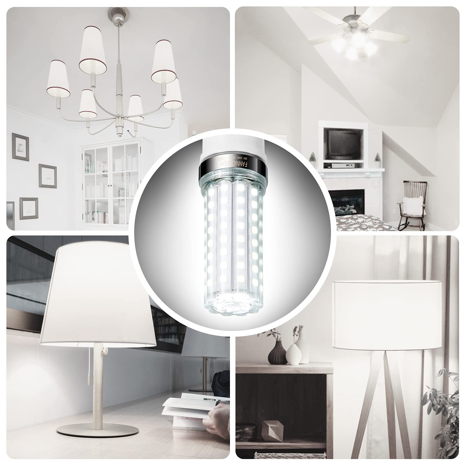 FanNicoo E12 LED bulb energy-efficient lighting for homes.