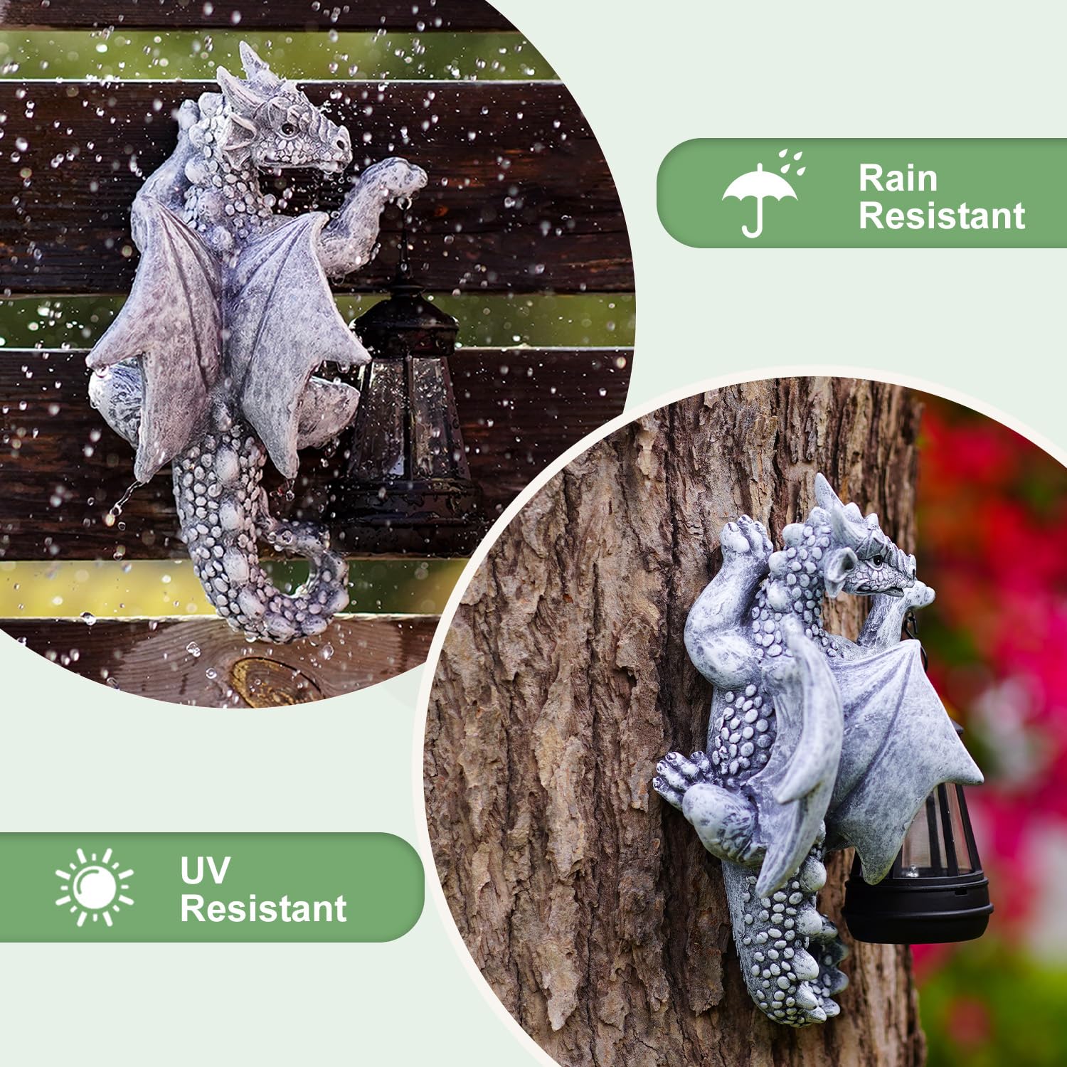 Fashionoda Dragon Tree Hugger all-season durability withstands weather and sun