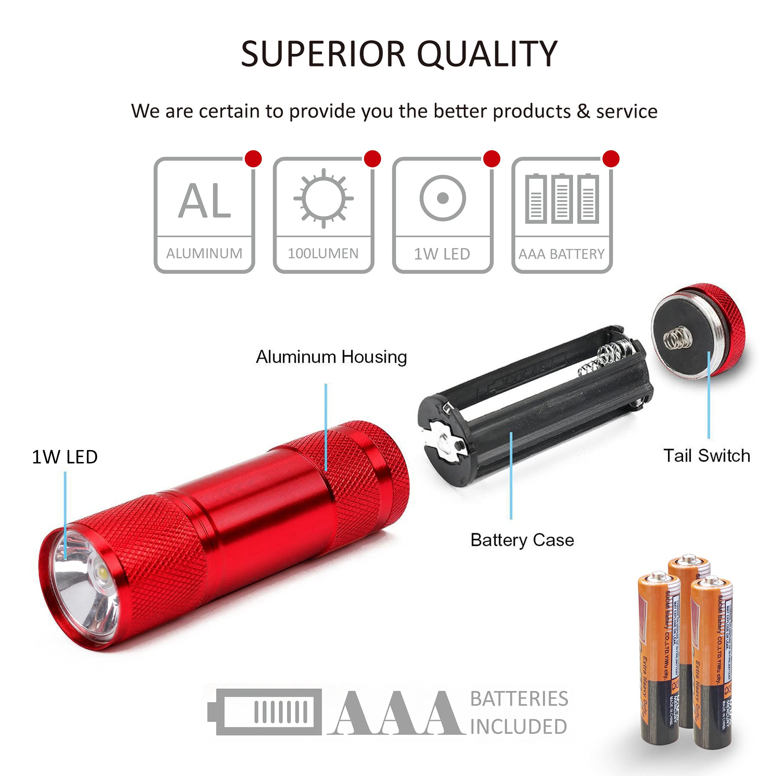 FASTPRO flashlights include 60 AAA batteries for immediate use.