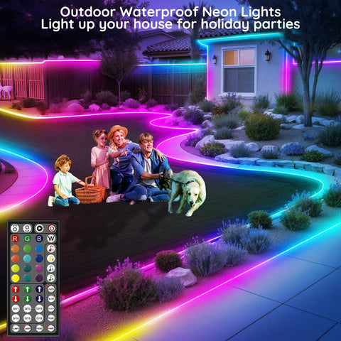 FBZ energy-efficient LED neon strip provides eco-friendly ambient accents