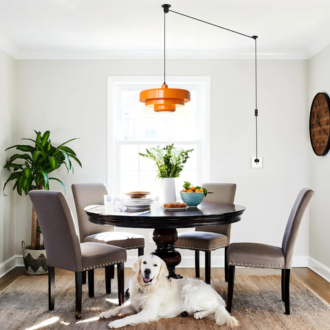 FCTWAKS dimmable pendant with compatible bulbs for mood control.