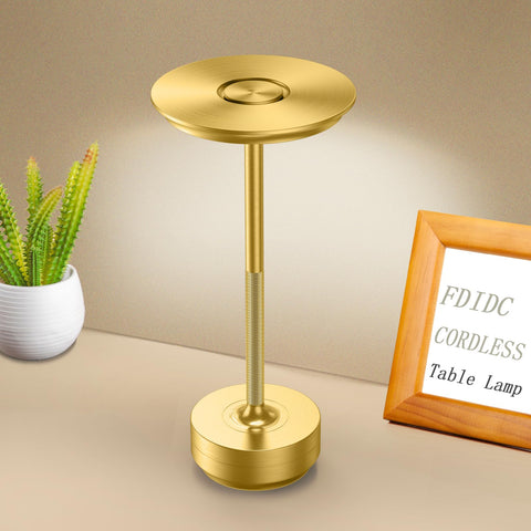 FDIDC IP54-rated lamp, outdoor-ready with weighted base for stability.