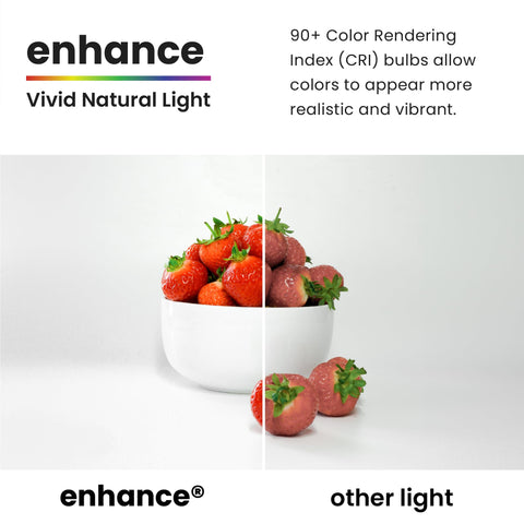 Feit Electric A19 long-life LED designed for years of use