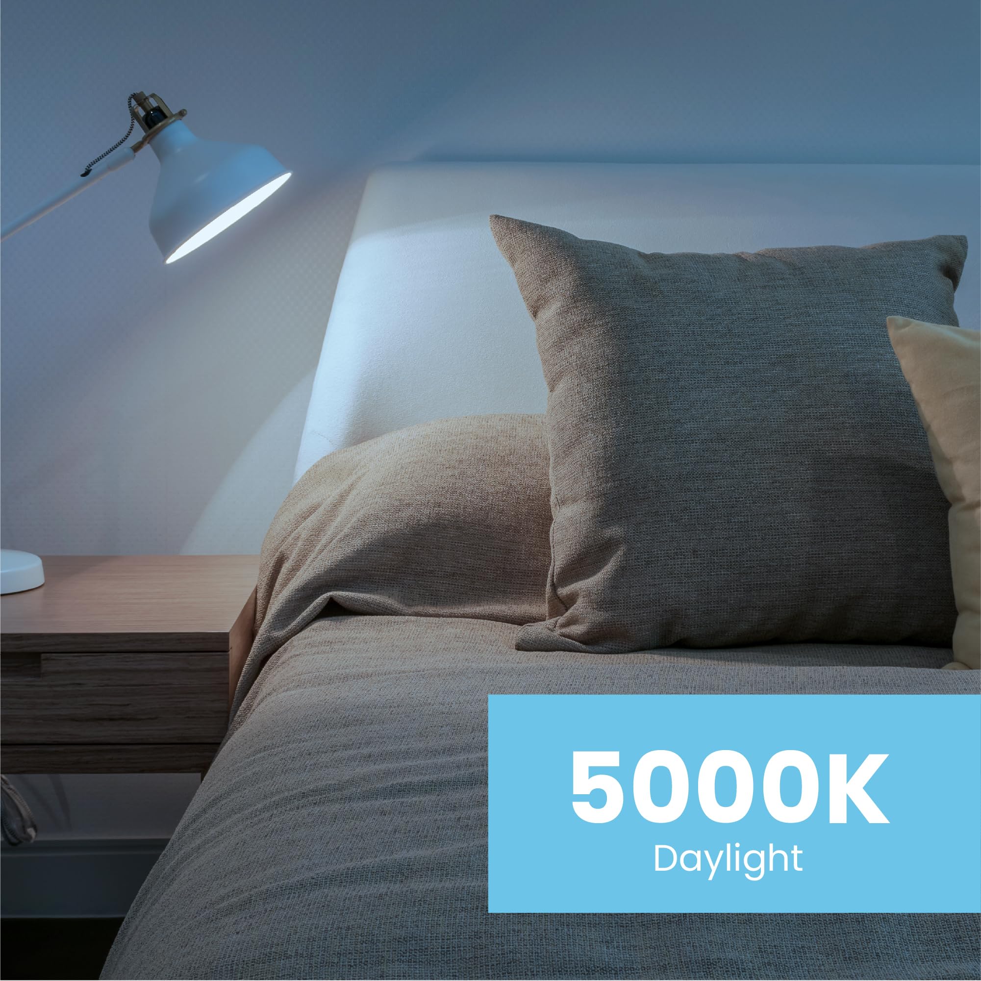 Feit Electric A19 LED bulbs 80 CRI for true color rendering in spaces.
