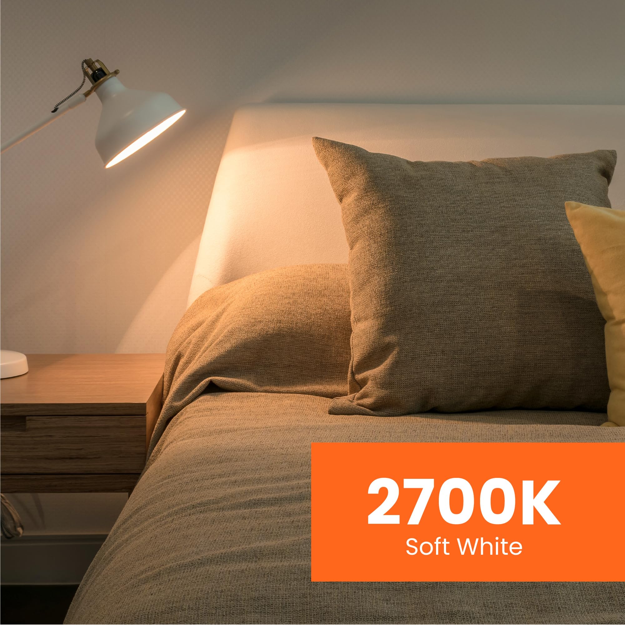 Feit Electric A19 LED bulb damp-rated for moisture-prone areas