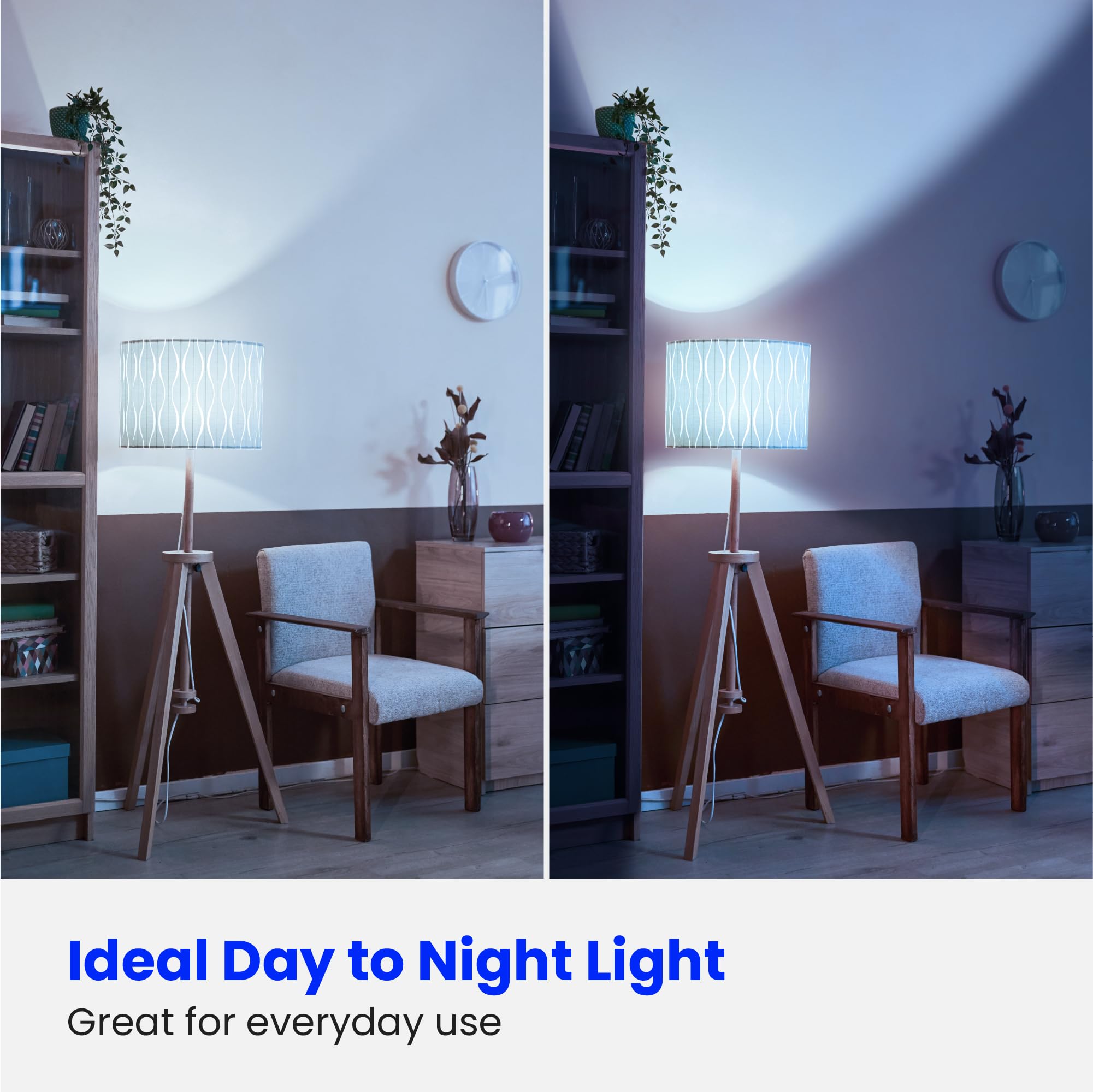 Feit Electric A19 LED bulbs with E26 base for easy retrofit in fixtures.