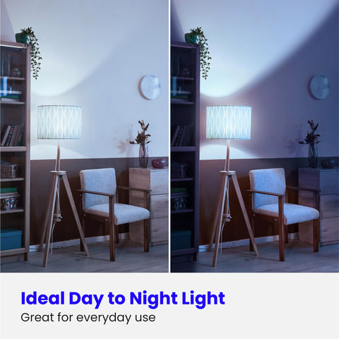Feit Electric A19 LED bulbs with E26 base for easy retrofit in fixtures.