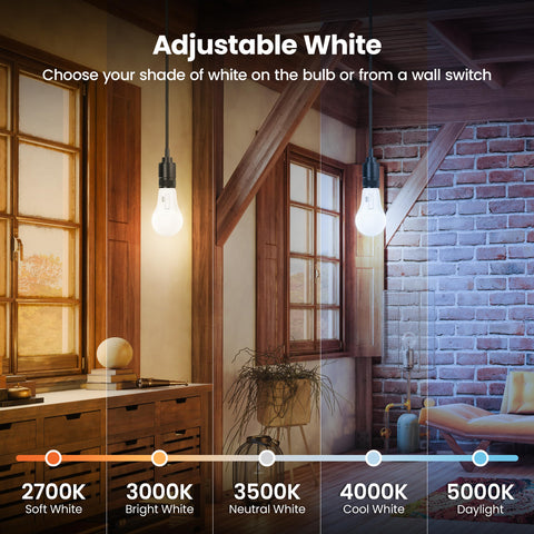 Feit Electric A21 LED bulb at 3000K soft white for dining and daily tasks