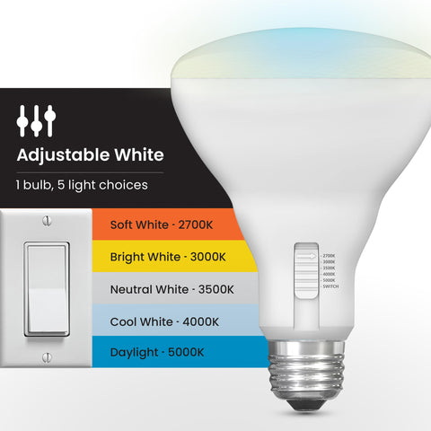 Feit Electric BR30 LED bulb with 90+ CRI for true color rendering