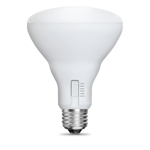 Feit Electric BR30 LED bulb lasting up to 25,000 hours reduces replacements