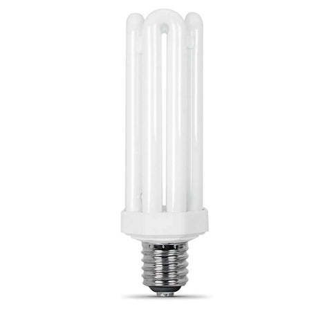 Feit Electric CFL daylight bulb in a bright room for crisp daylight illumination