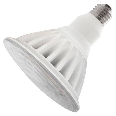 Feit Electric PAR38 LED outdoor flood bulb delivers high brightness for landscape lighting.