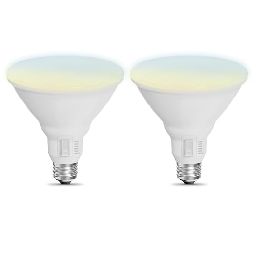 Feit Electric PAR38 mercury-free for safer use