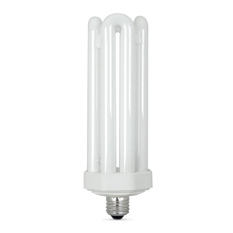 Feit Electric daylight bulb delivers 300W-equivalent brightness while saving energy