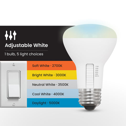 Feit Electric R20's 5W energy use offers familiar brightness with lower consumption.
