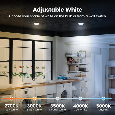 Feit Electric R20 450 lumens delivers bright, even lighting for track or recessed fixtures.