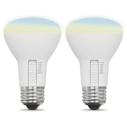 Feit Electric R20 2-pack provides cost-effective lighting for paired track or spotlight installations.