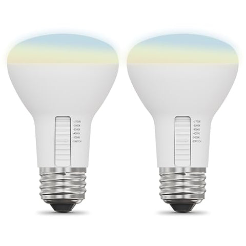 Feit Electric R20 2-pack provides cost-effective lighting for paired track or spotlight installations.