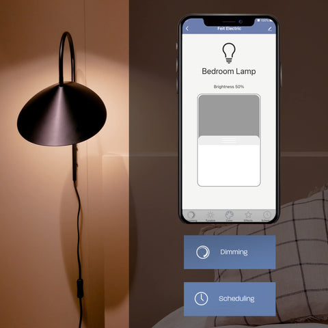Feit Electric works with Alexa and Google for voice lighting control.