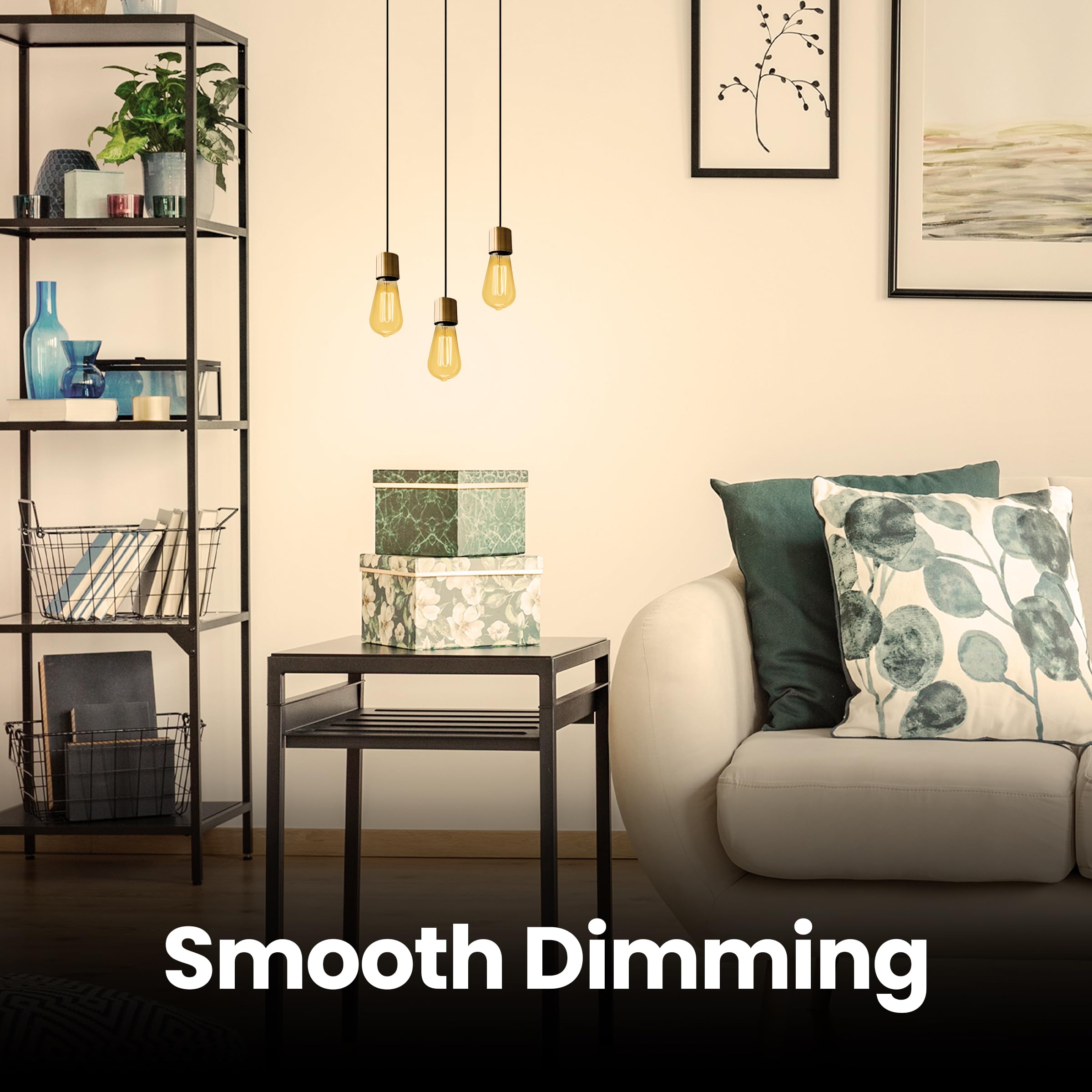 Dimmable Feit ST19 bulb creates adjustable mood lighting.