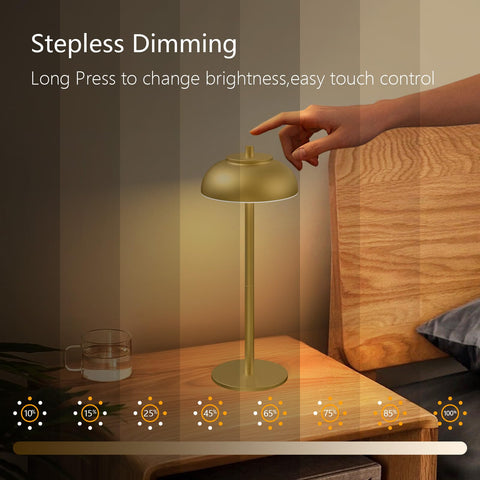 FenFud gold dimmable table lamp offering warm to cool tones for tasks.