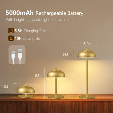 FenFud cordless table lamp shows USB-C charging and battery powered flexibility.