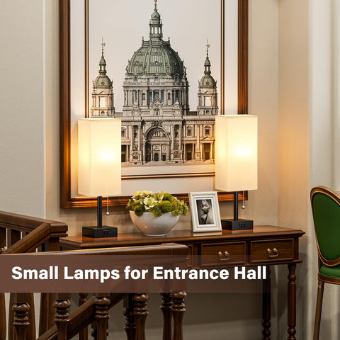 Fenmzee included non-flicker LED bulbs for the lamps