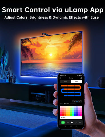 FFJ 24 dynamic scenes for versatile home theater ambiance