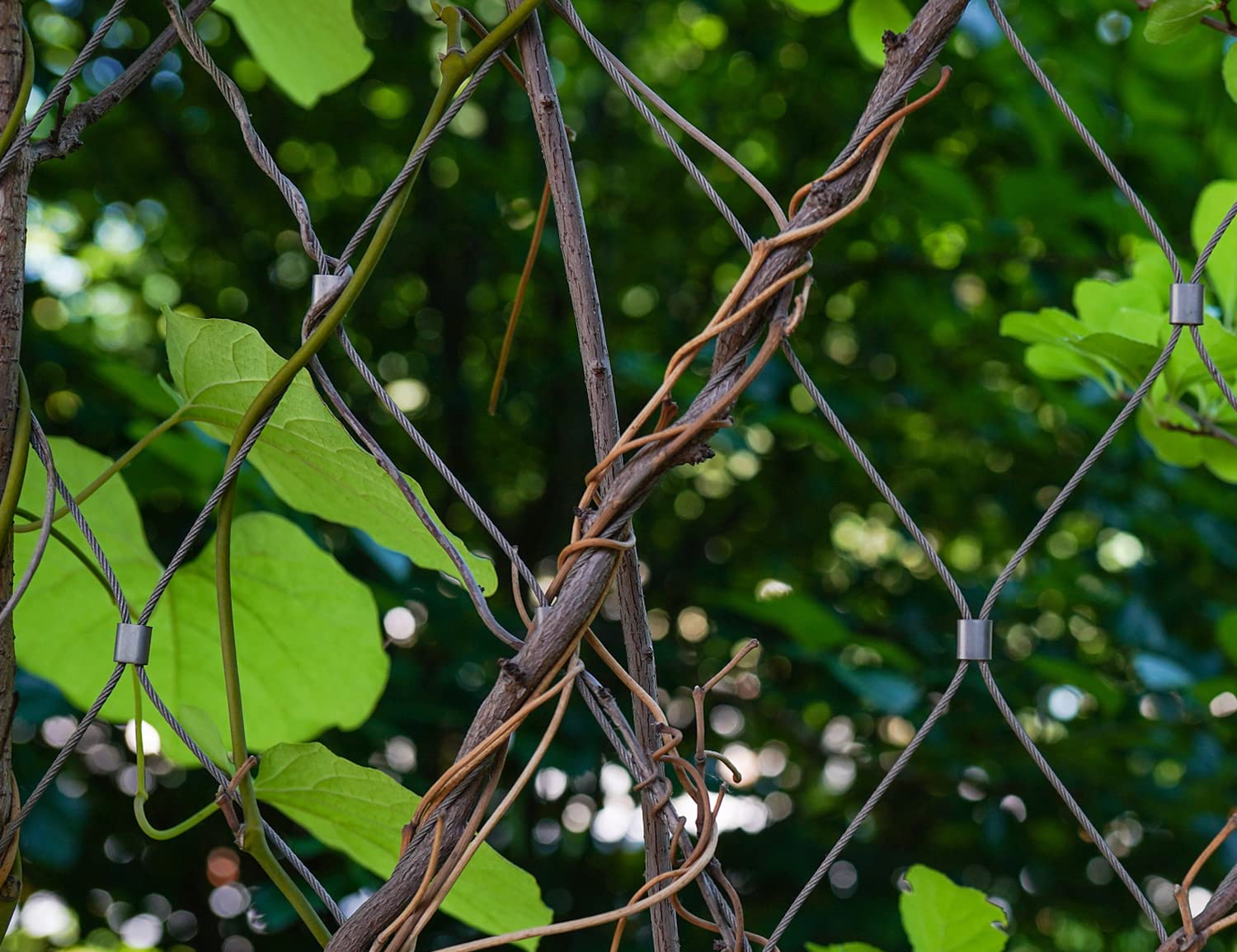 FGBNM railing and decking applications with wire rope kit