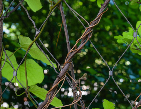 FGBNM railing and decking applications with wire rope kit