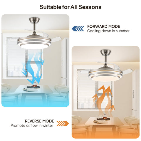 FIDGRA retractable blades close-up, sleek and uncluttered look.