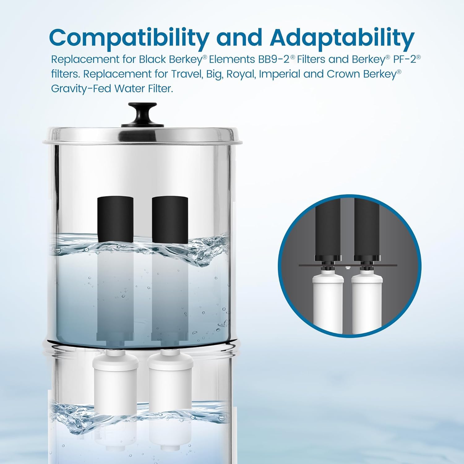 Filterlogic BB9-2 black filter close-up showing coconut carbon block for chlorine adsorption.