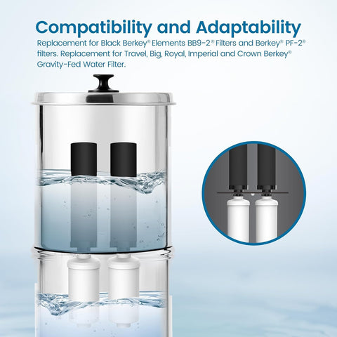 Filterlogic BB9-2 black filter close-up showing coconut carbon block for chlorine adsorption.