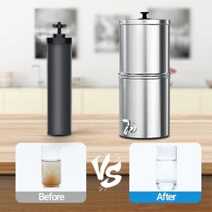 Filterlogic reduces chlorine to improve water taste and odor