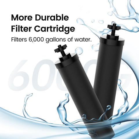 Filterlogic coconut activated carbon block captures impurities in water.