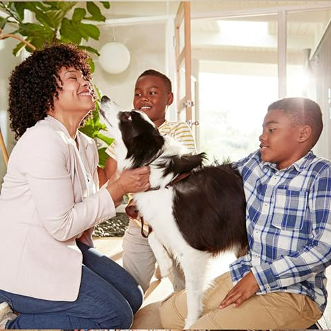 Living room air appears fresher thanks to Filtrete filtration.
