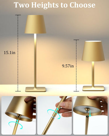 Fizrice acrylic shade diffuses light for gentle illumination.