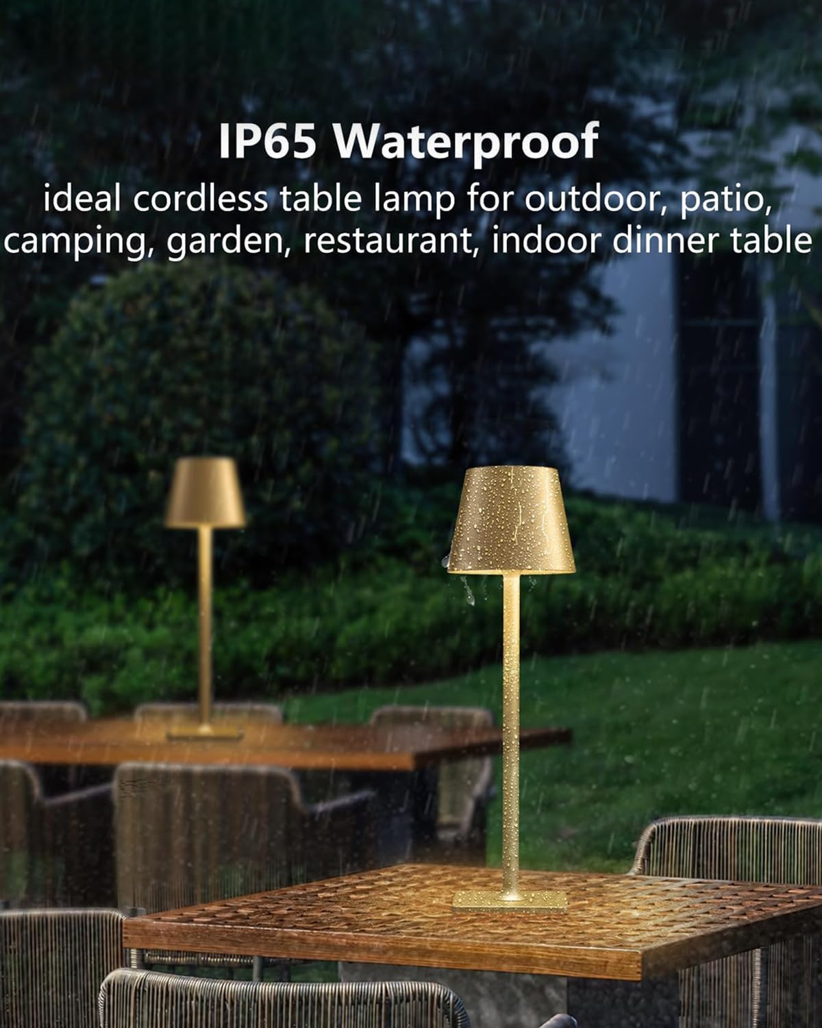 Fizrice color-mode lights offer warm, natural, and white settings.