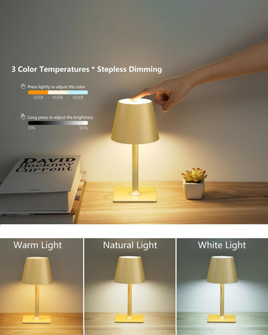 Fizrice portable desk lamp ideal for patio and bedside tasks.