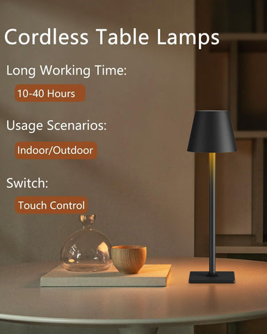 Fizrice lamp USB-C charging for quick top-up before gatherings