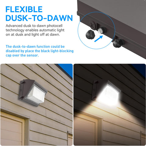 Flakeeper wall pack delivering 16800 lumens for wide-area illumination and safety.