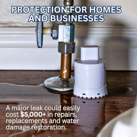Flood Buzz Pro near water heater, quick detection.