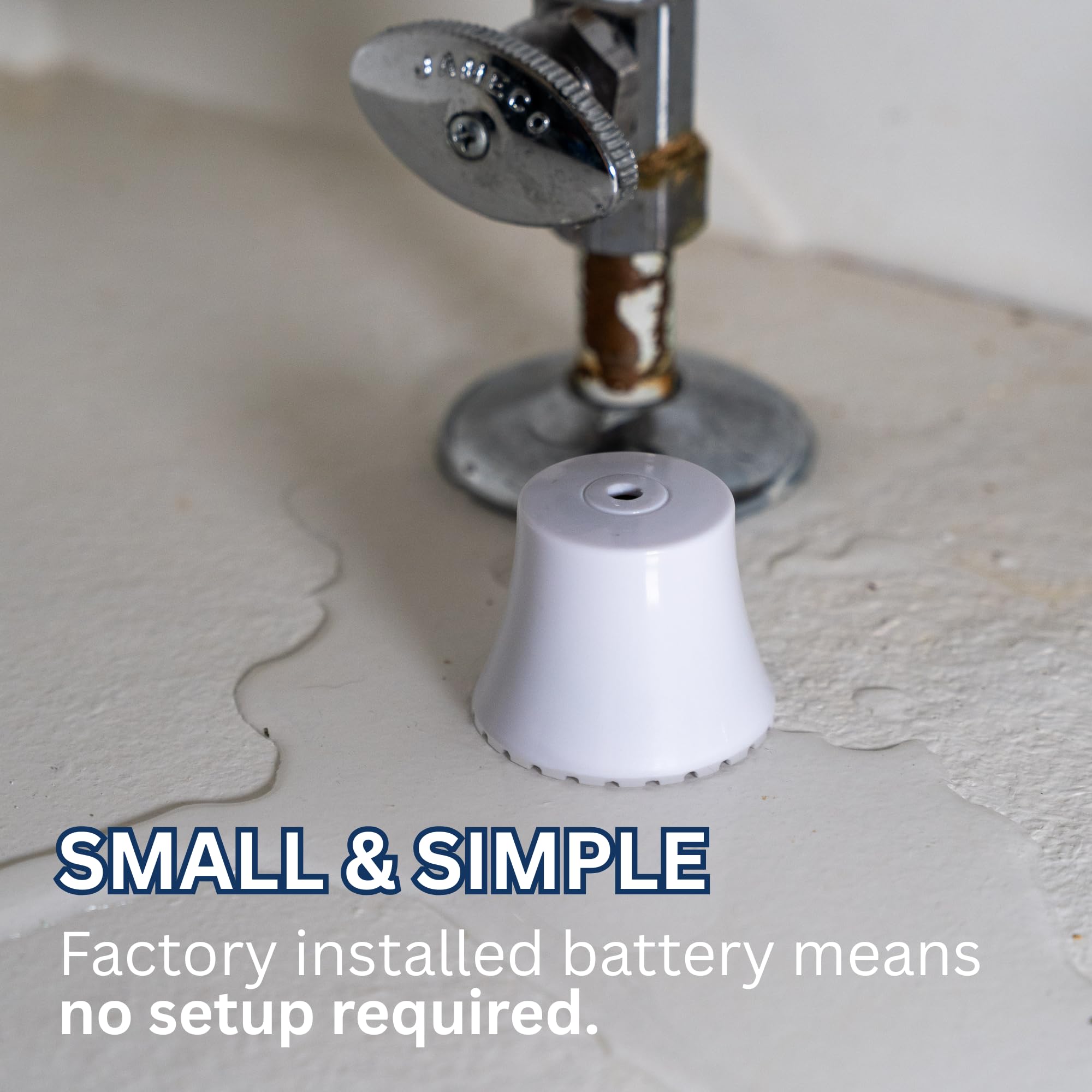 Flood Buzz under kitchen sink placement protects hidden leaks.