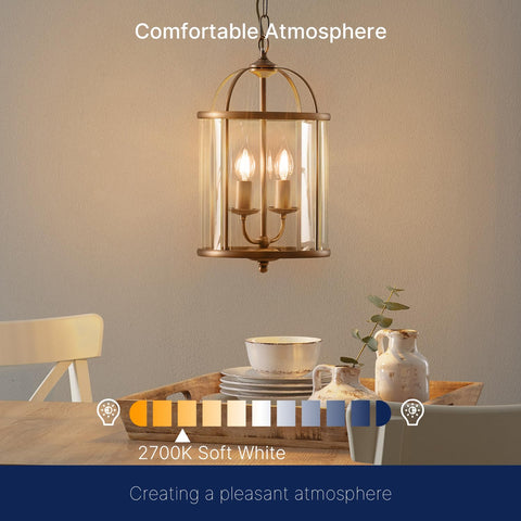 FLSNT CA65 listed bulb for safe indoor lighting