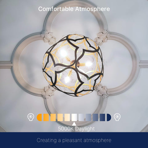 FLSNT clear glass LED bulb adds modern style to fixtures