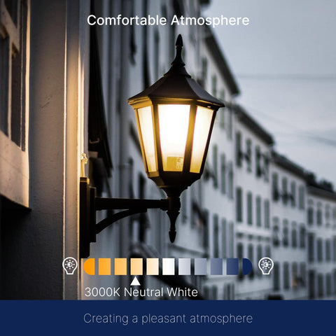 FLSNT 60W-equivalent LED saves energy while brightening porches and pathways